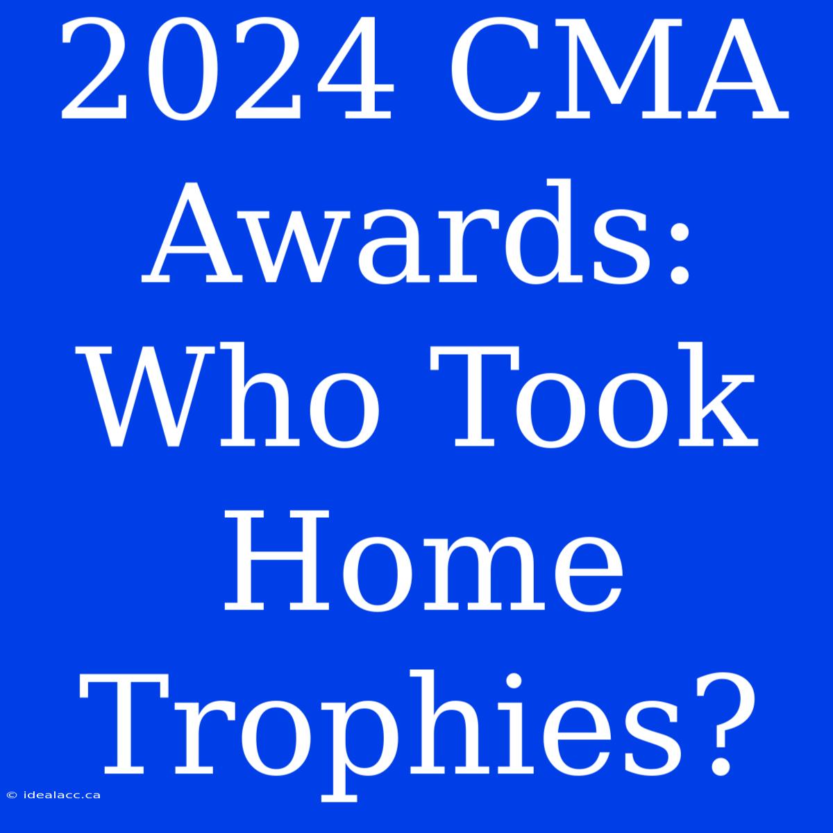 2024 CMA Awards: Who Took Home Trophies?