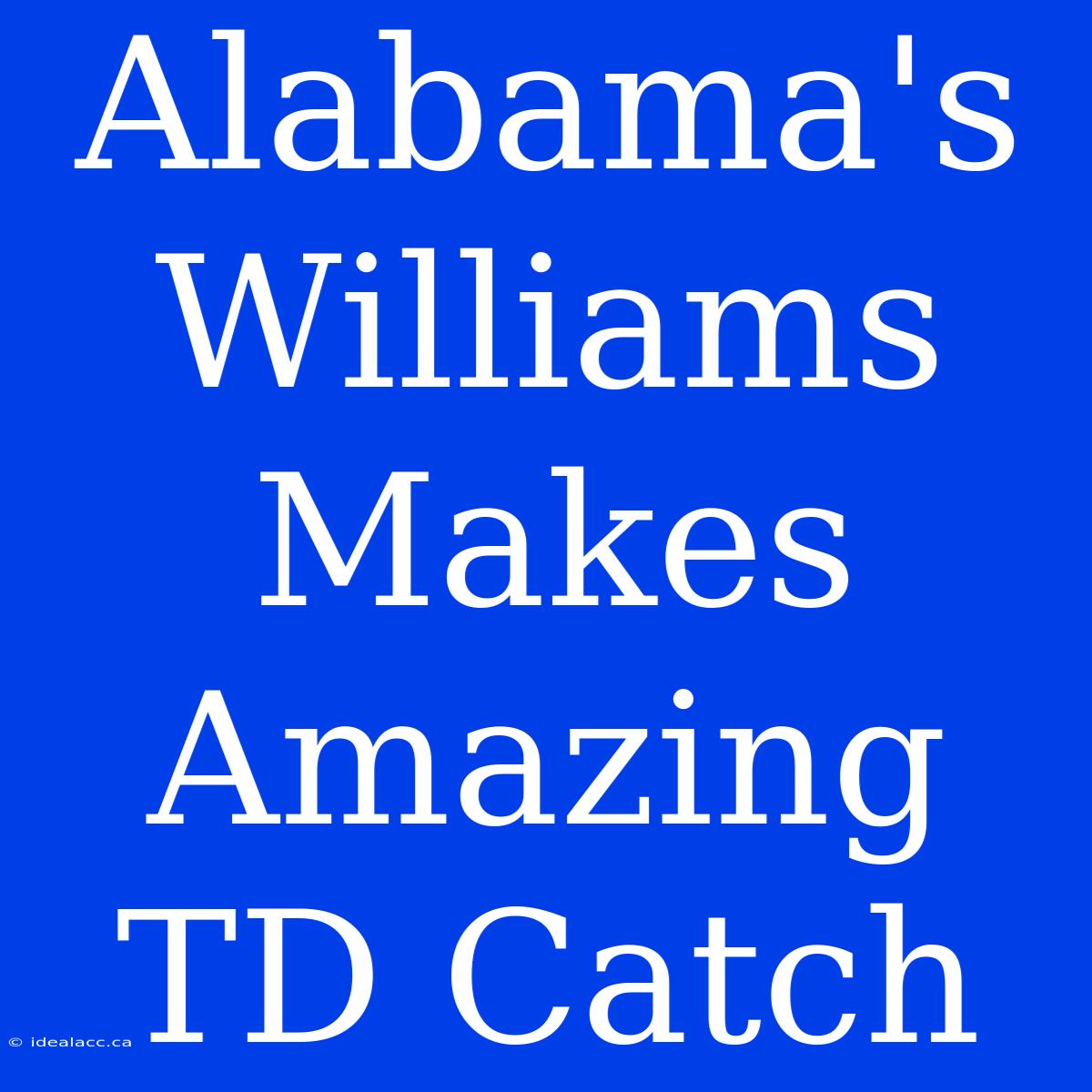 Alabama's Williams Makes Amazing TD Catch