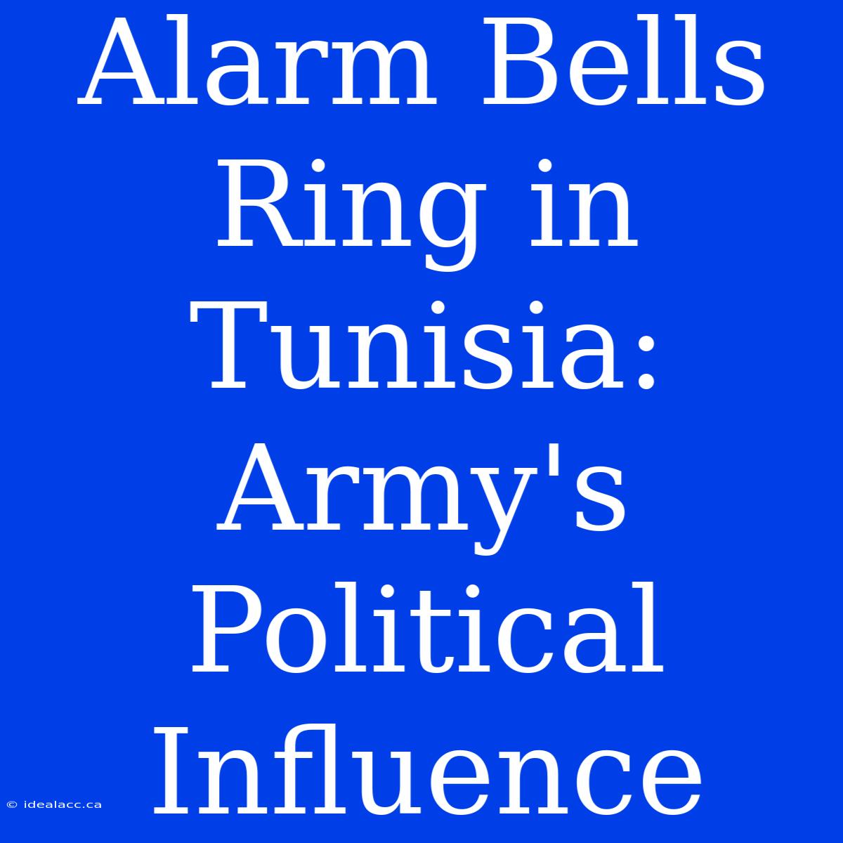 Alarm Bells Ring In Tunisia: Army's Political Influence