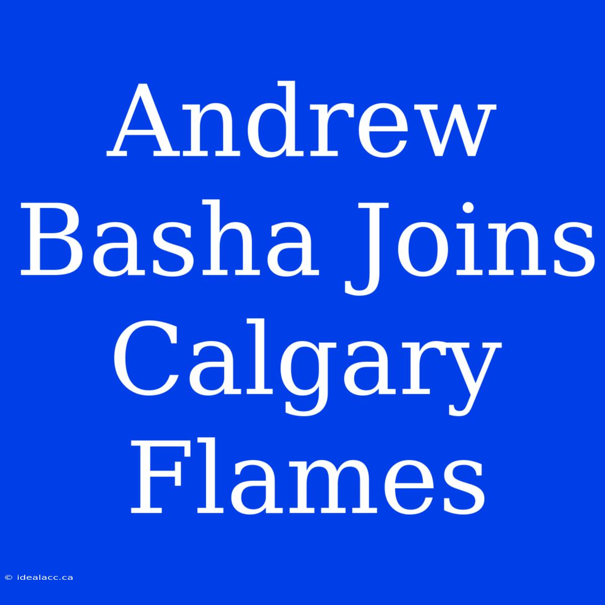 Andrew Basha Joins Calgary Flames