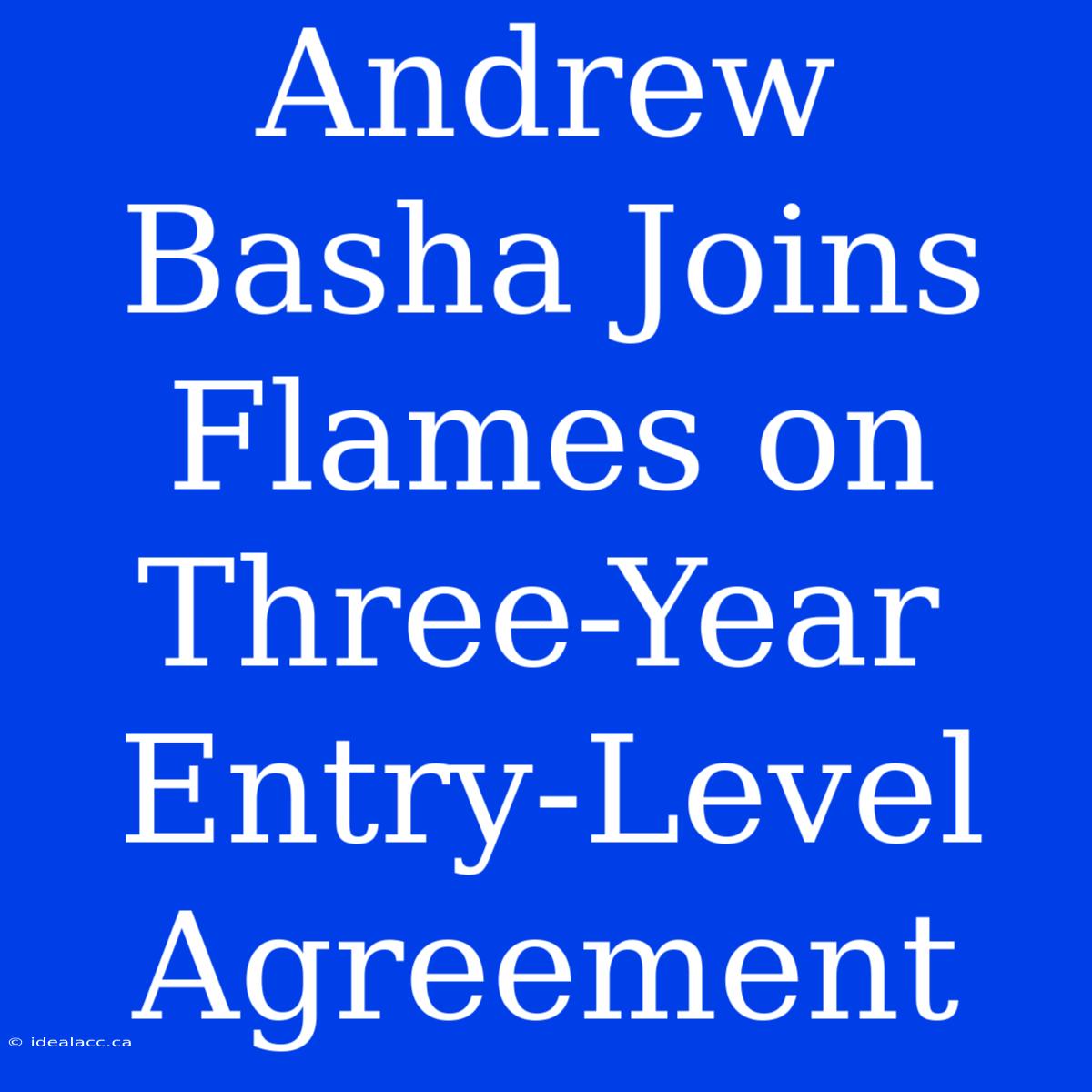 Andrew Basha Joins Flames On Three-Year Entry-Level Agreement