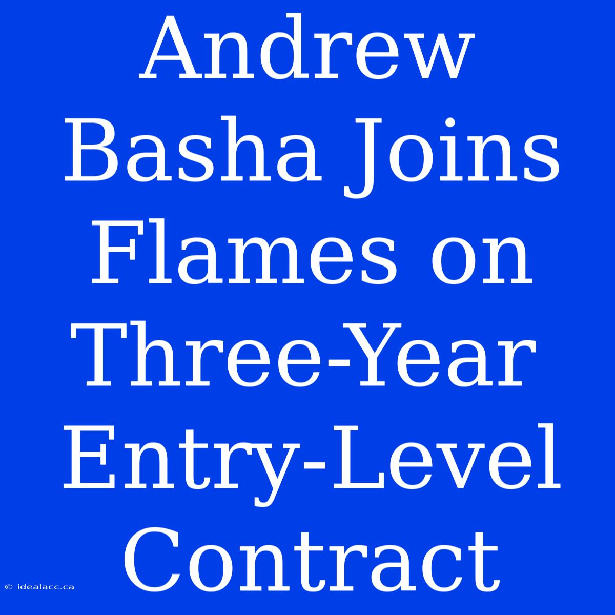 Andrew Basha Joins Flames On Three-Year Entry-Level Contract