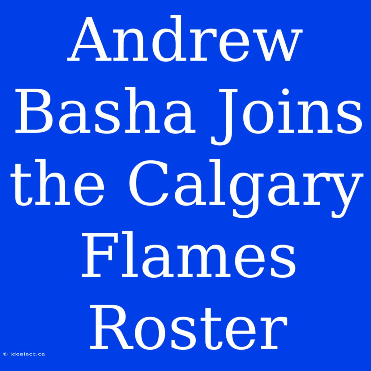 Andrew Basha Joins The Calgary Flames Roster 