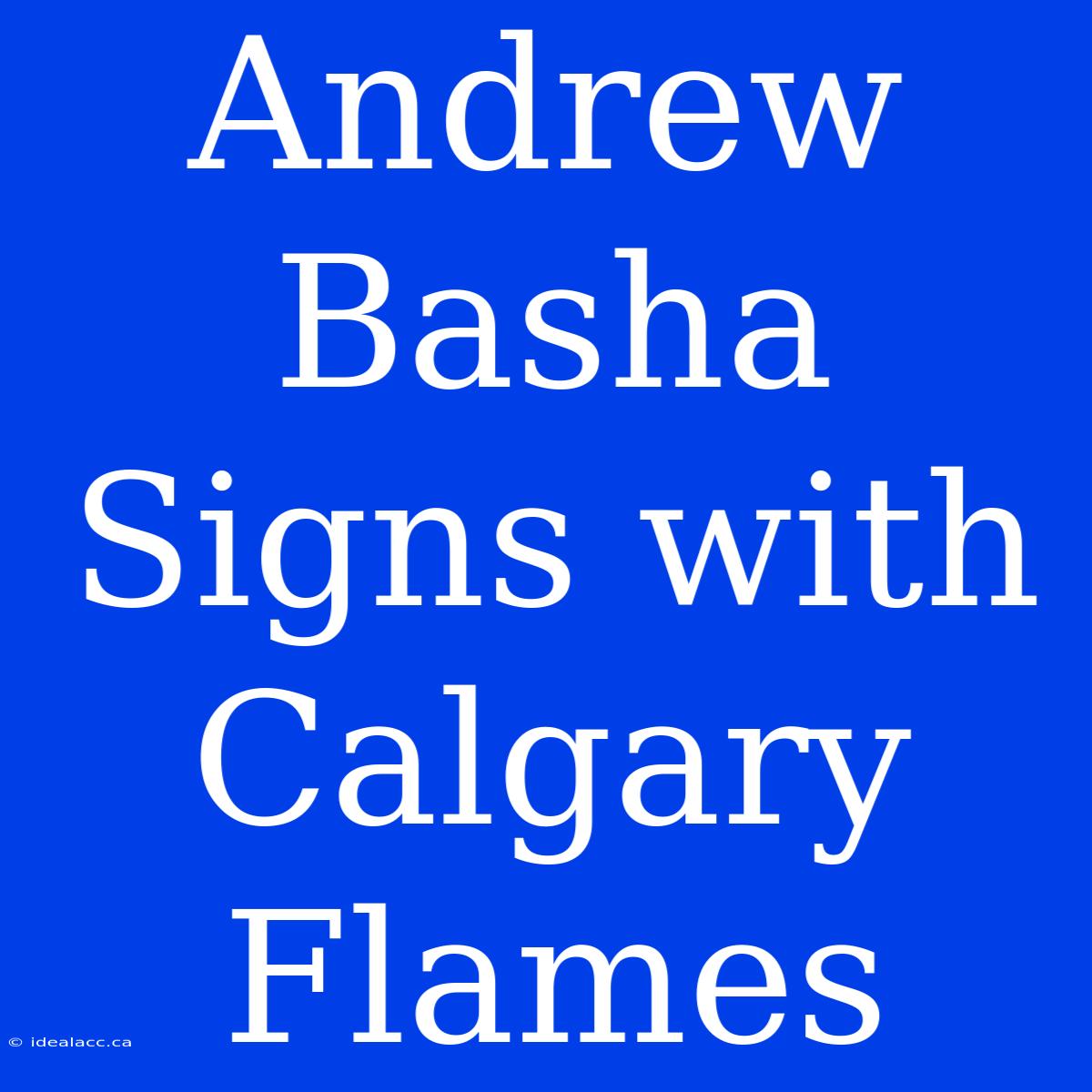 Andrew Basha Signs With Calgary Flames