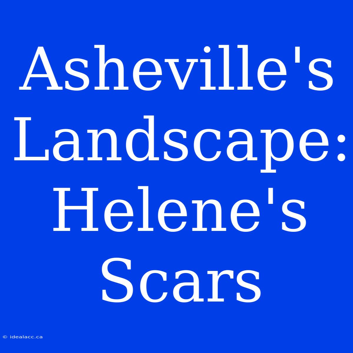 Asheville's Landscape: Helene's Scars