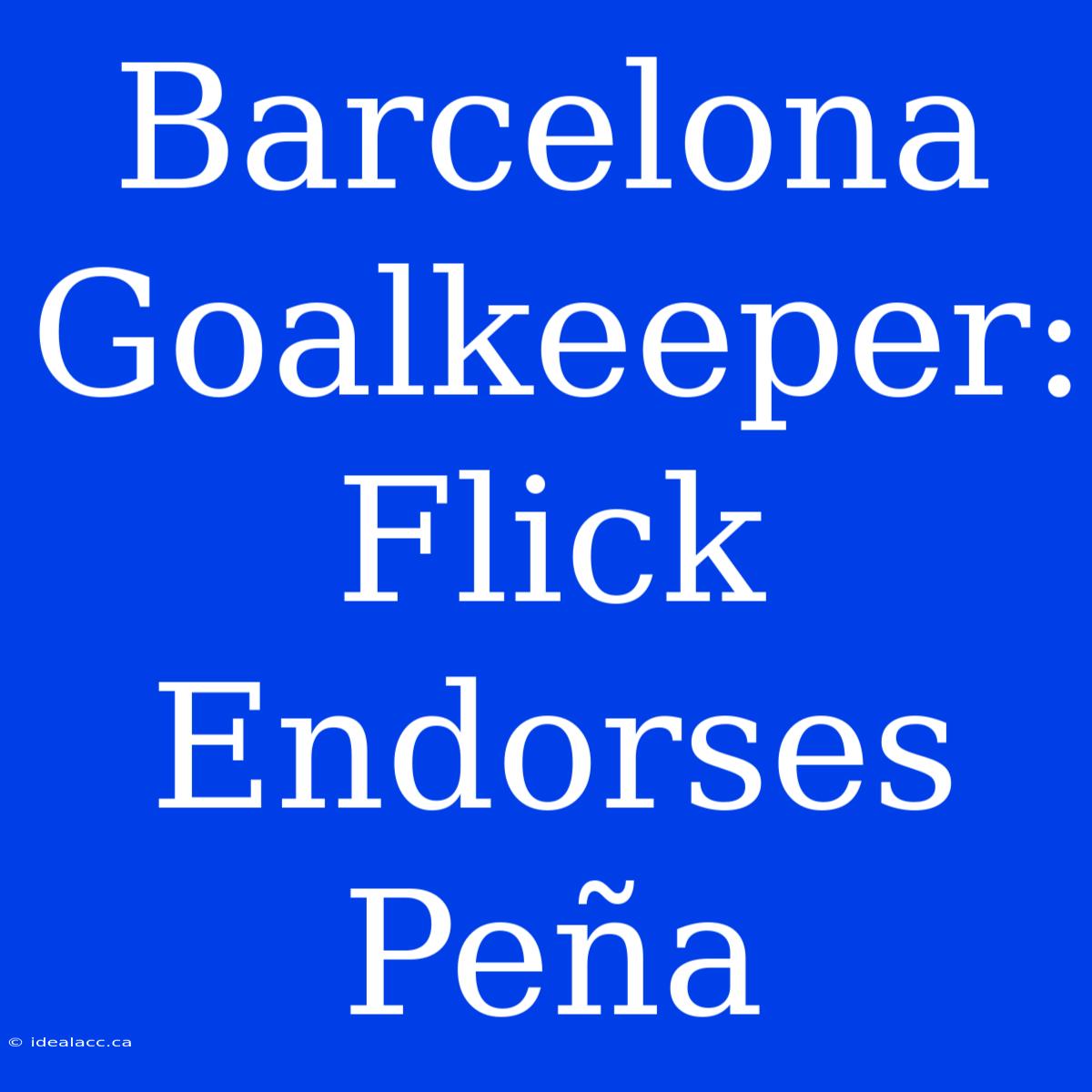 Barcelona Goalkeeper: Flick Endorses Peña