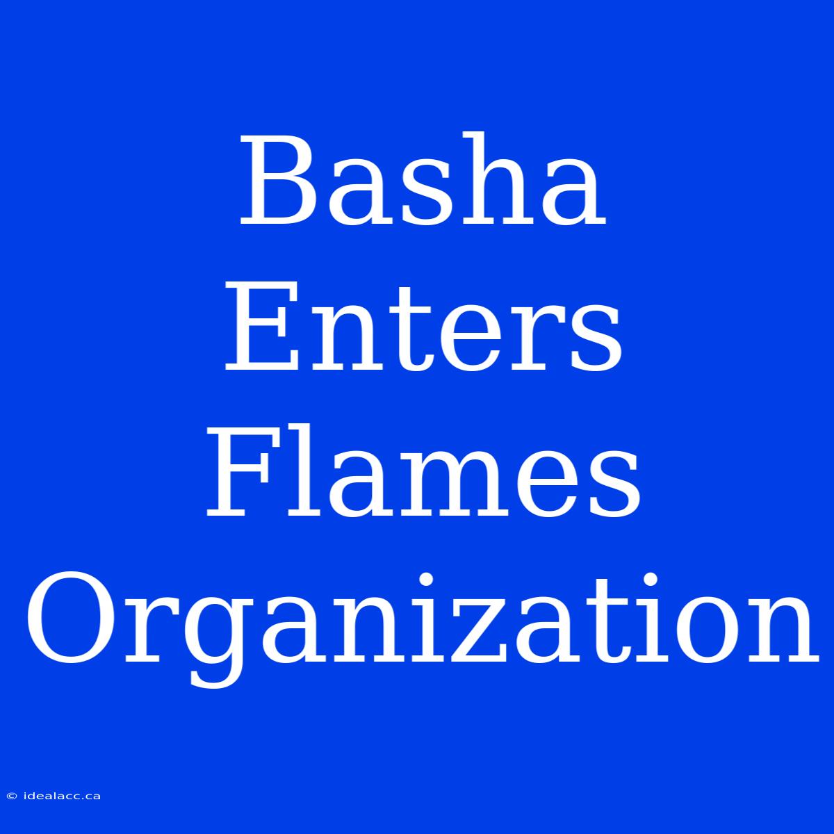 Basha Enters Flames Organization 