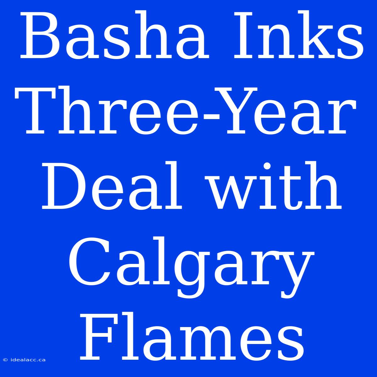 Basha Inks Three-Year Deal With Calgary Flames