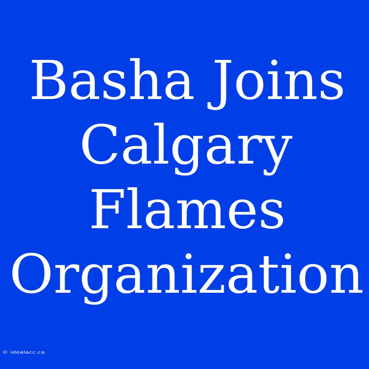 Basha Joins Calgary Flames Organization