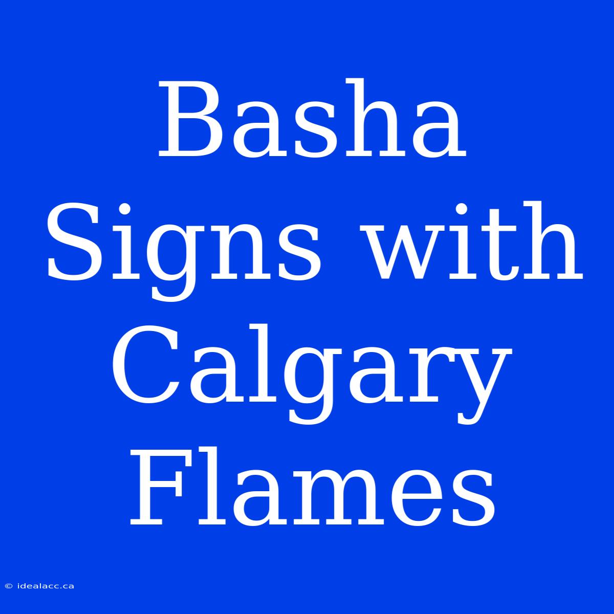 Basha Signs With Calgary Flames