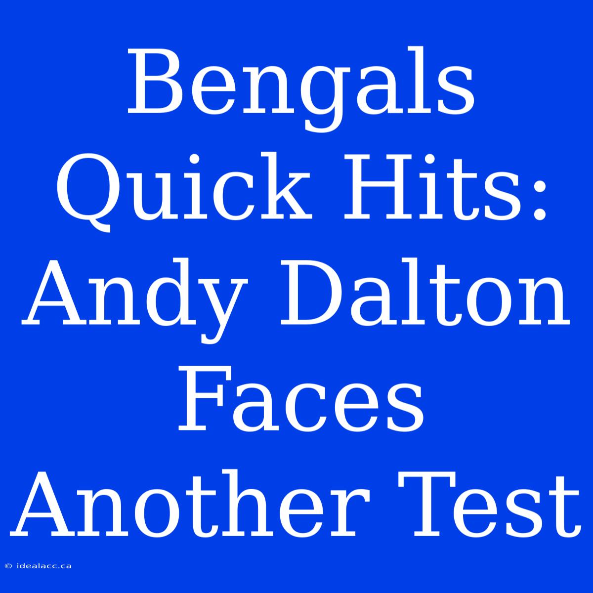 Bengals Quick Hits: Andy Dalton Faces Another Test