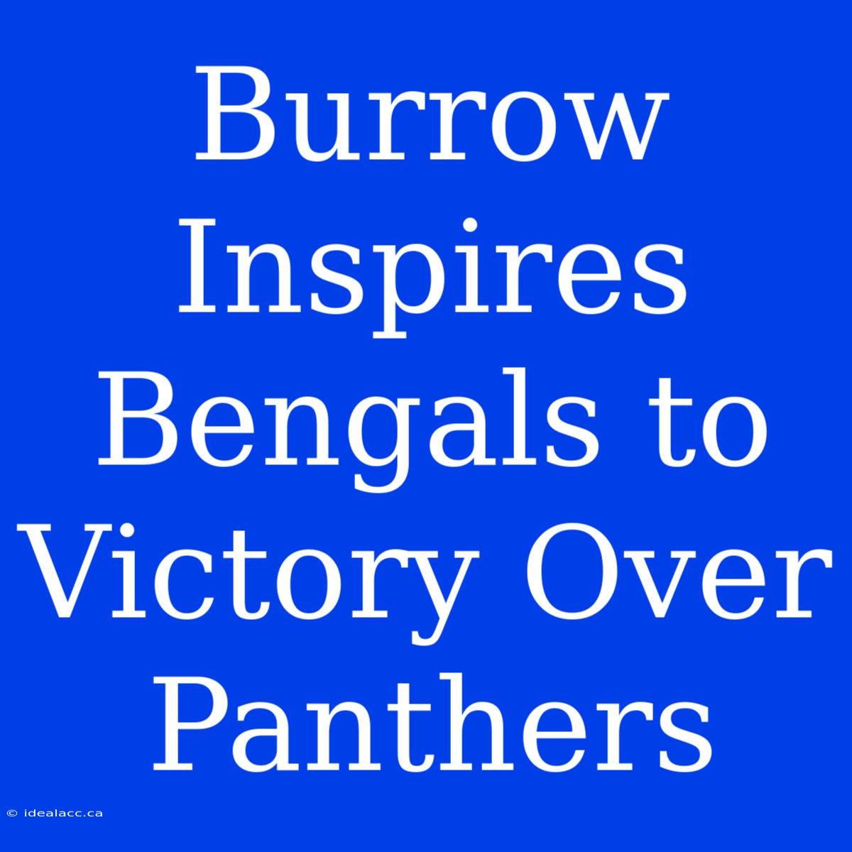 Burrow Inspires Bengals To Victory Over Panthers