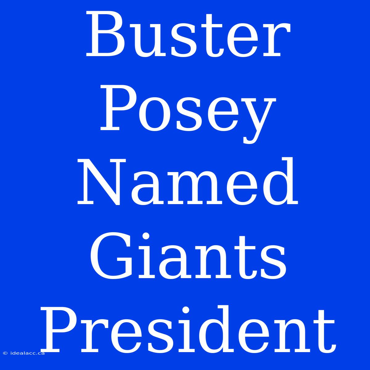 Buster Posey Named Giants President