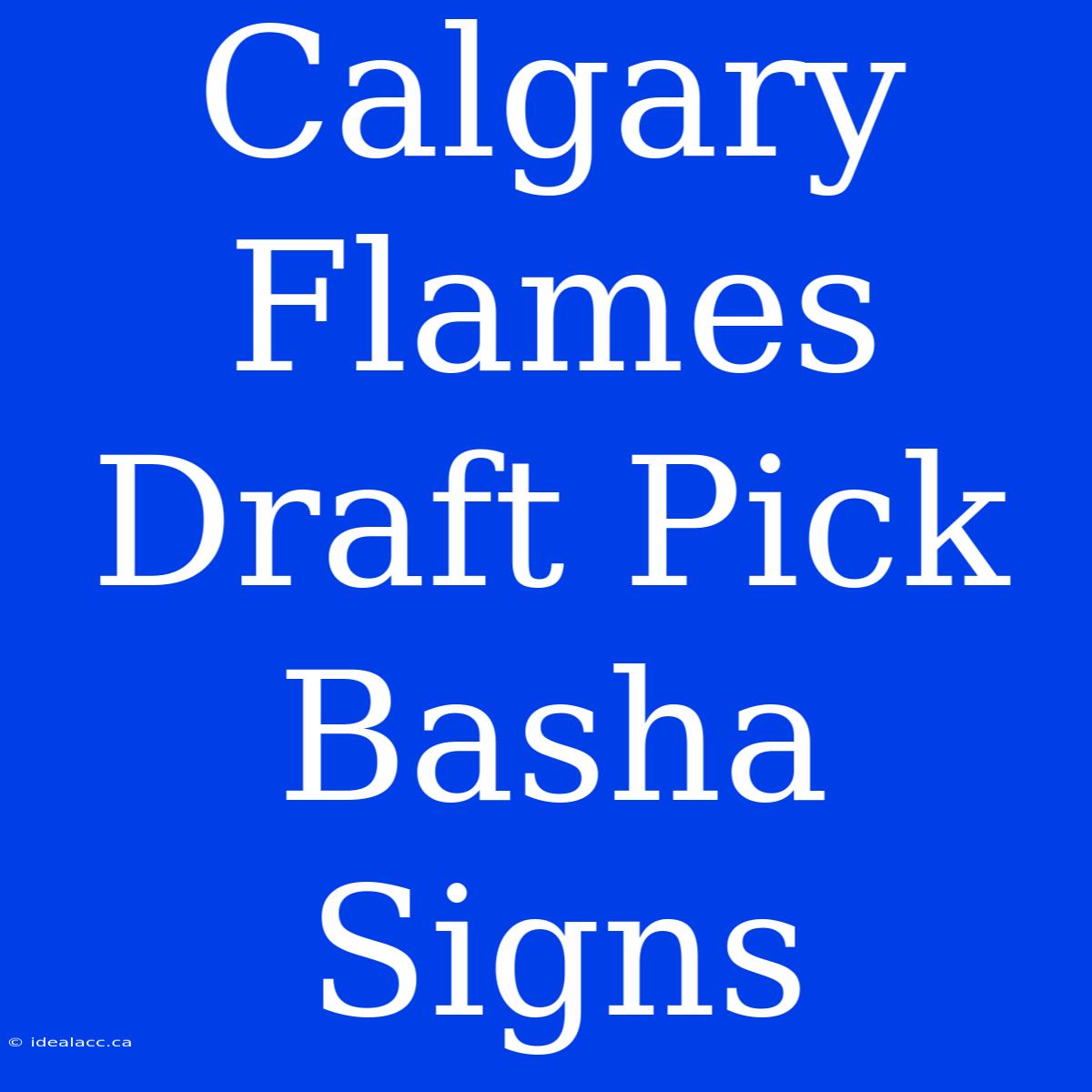 Calgary Flames Draft Pick Basha Signs