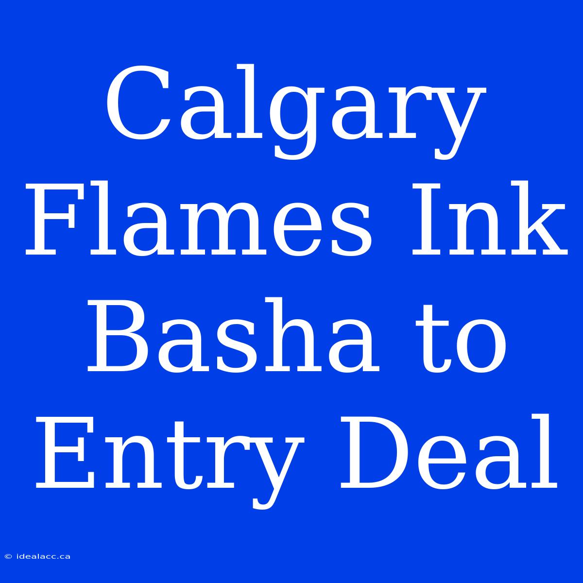 Calgary Flames Ink Basha To Entry Deal