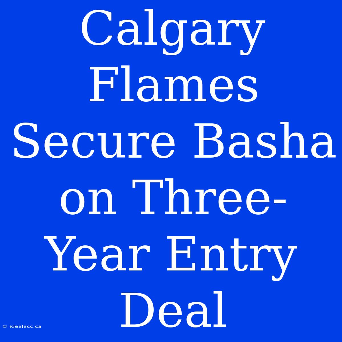 Calgary Flames Secure Basha On Three-Year Entry Deal