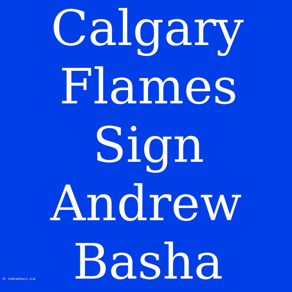 Calgary Flames Sign Andrew Basha