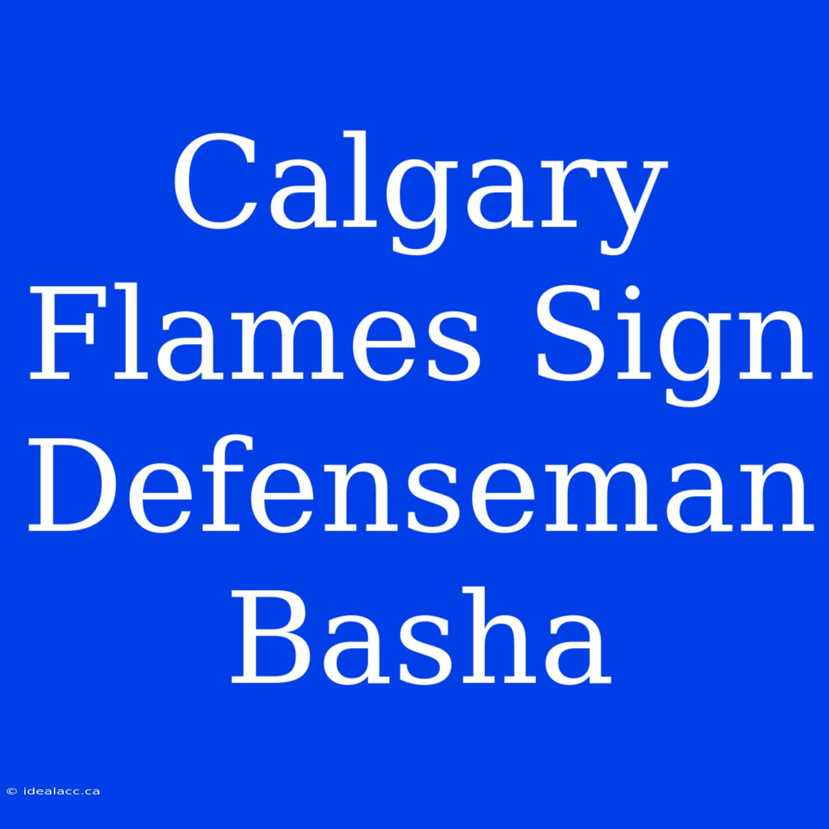 Calgary Flames Sign Defenseman Basha