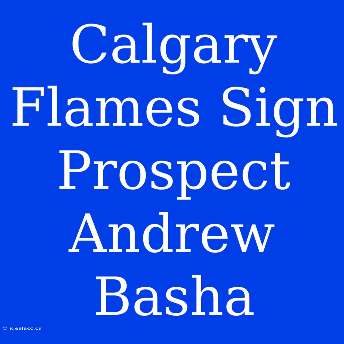 Calgary Flames Sign Prospect Andrew Basha