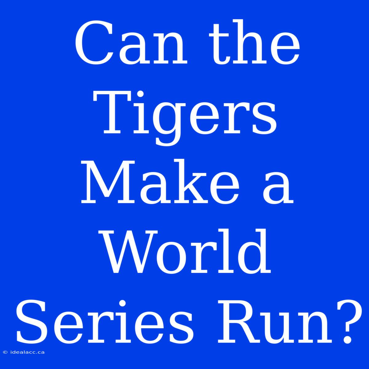 Can The Tigers Make A World Series Run?