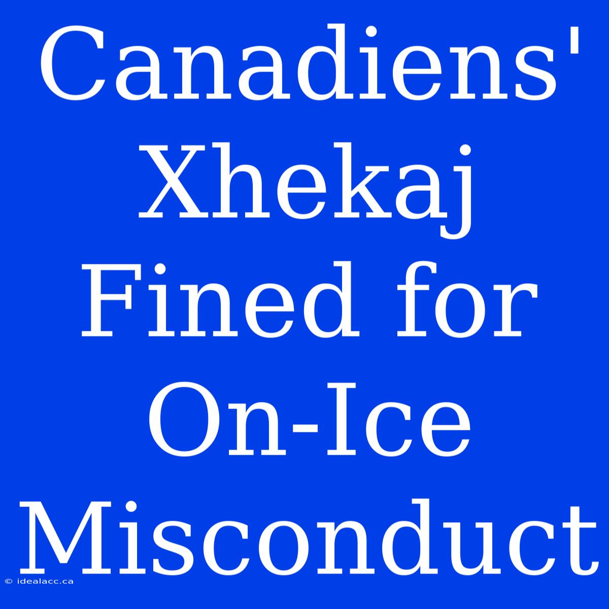 Canadiens' Xhekaj Fined For On-Ice Misconduct