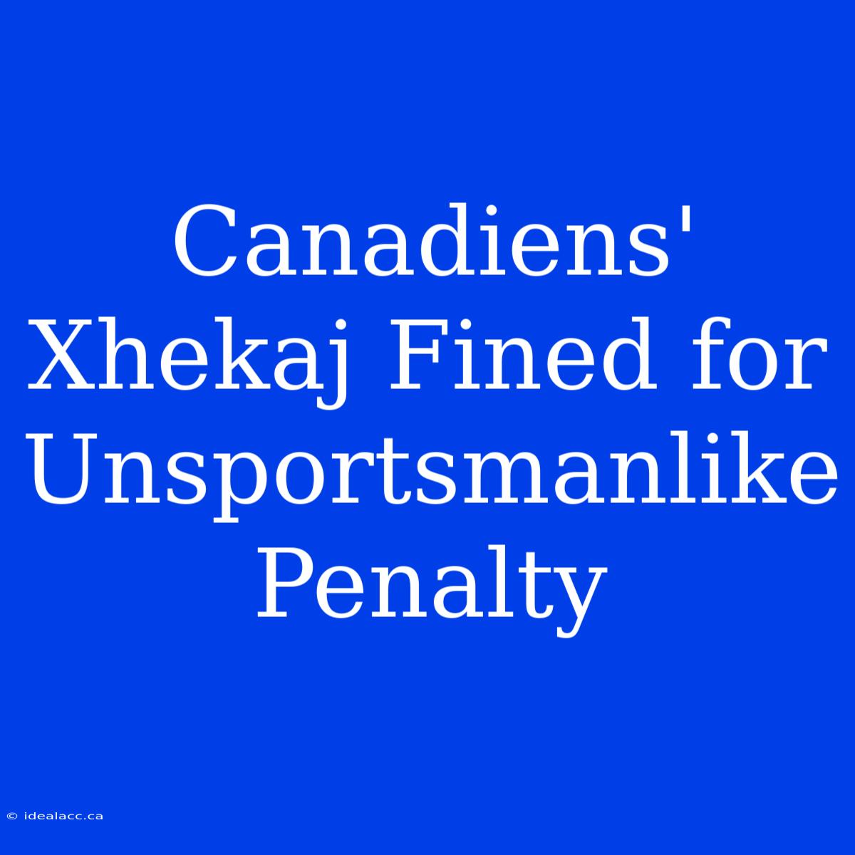 Canadiens' Xhekaj Fined For Unsportsmanlike Penalty