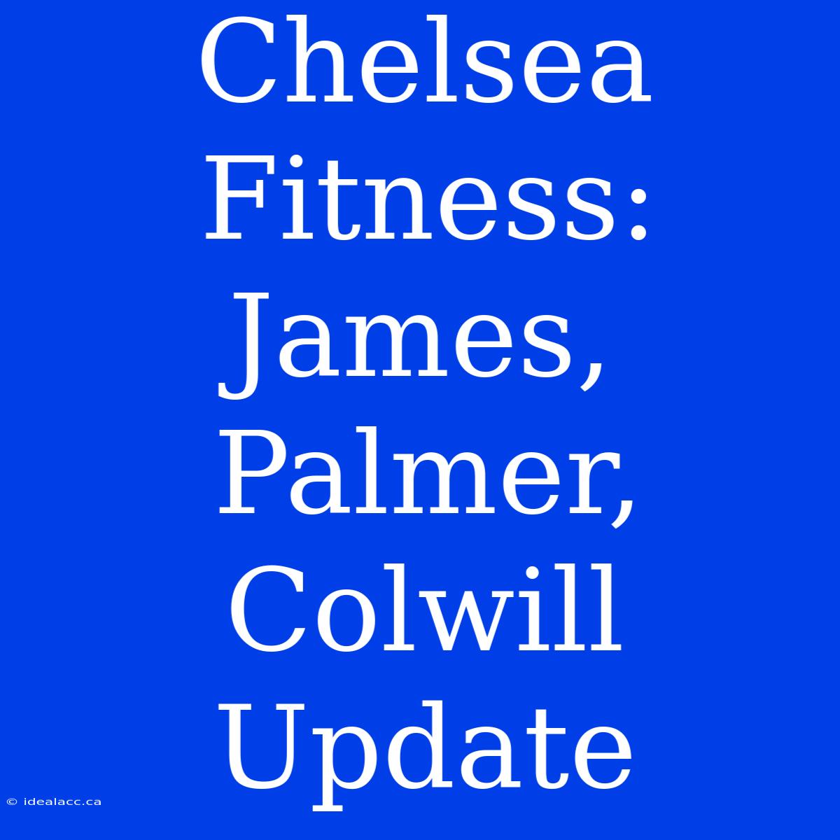 Chelsea Fitness: James, Palmer, Colwill Update