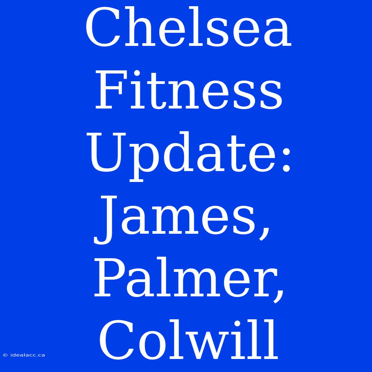 Chelsea Fitness Update: James, Palmer, Colwill