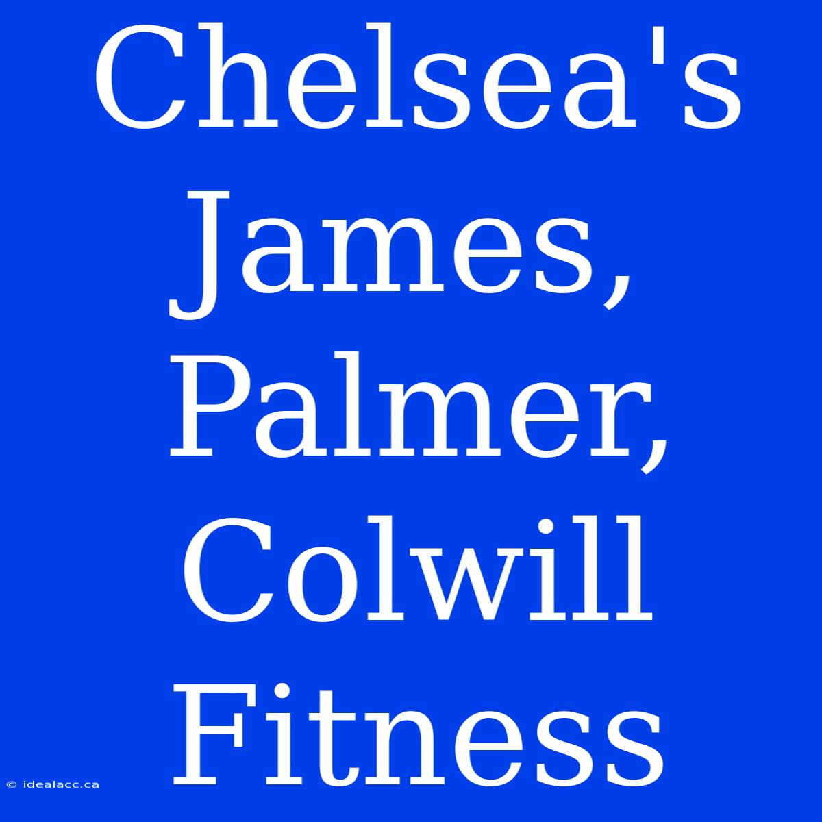 Chelsea's James, Palmer, Colwill Fitness