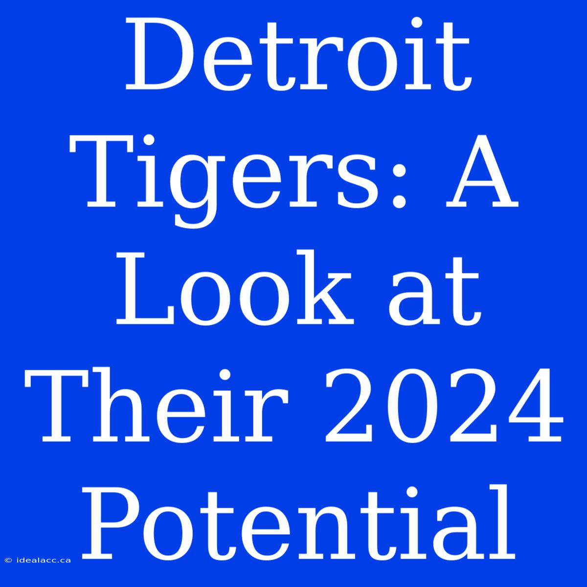 Detroit Tigers: A Look At Their 2024 Potential