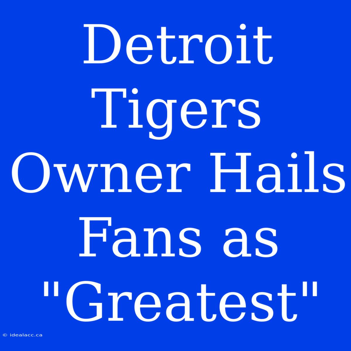 Detroit Tigers Owner Hails Fans As 