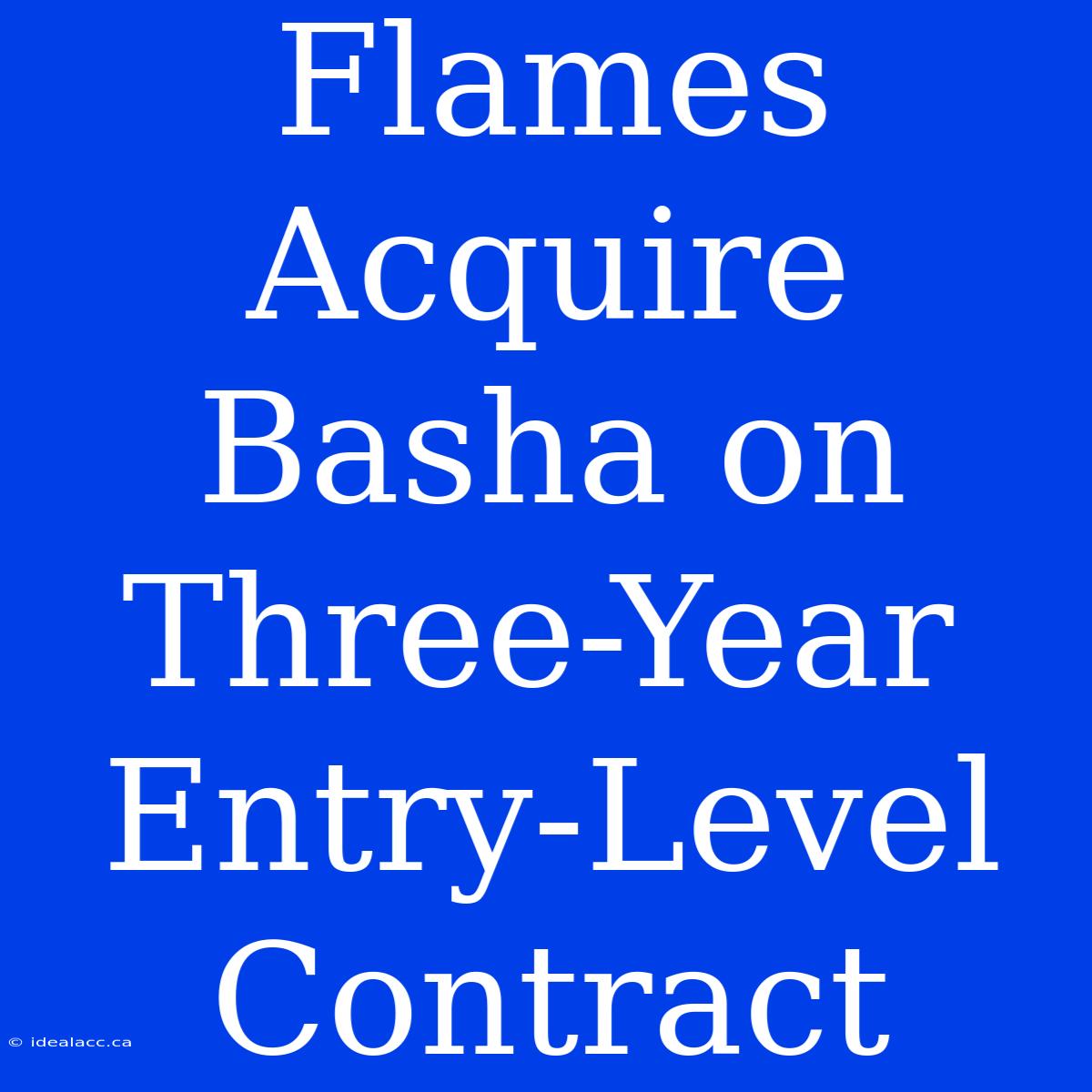 Flames Acquire Basha On Three-Year Entry-Level Contract