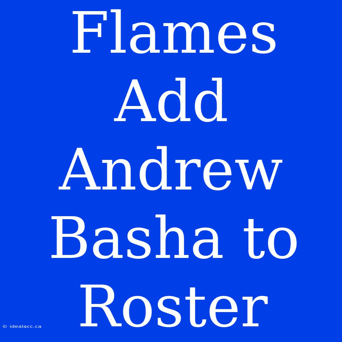 Flames Add Andrew Basha To Roster