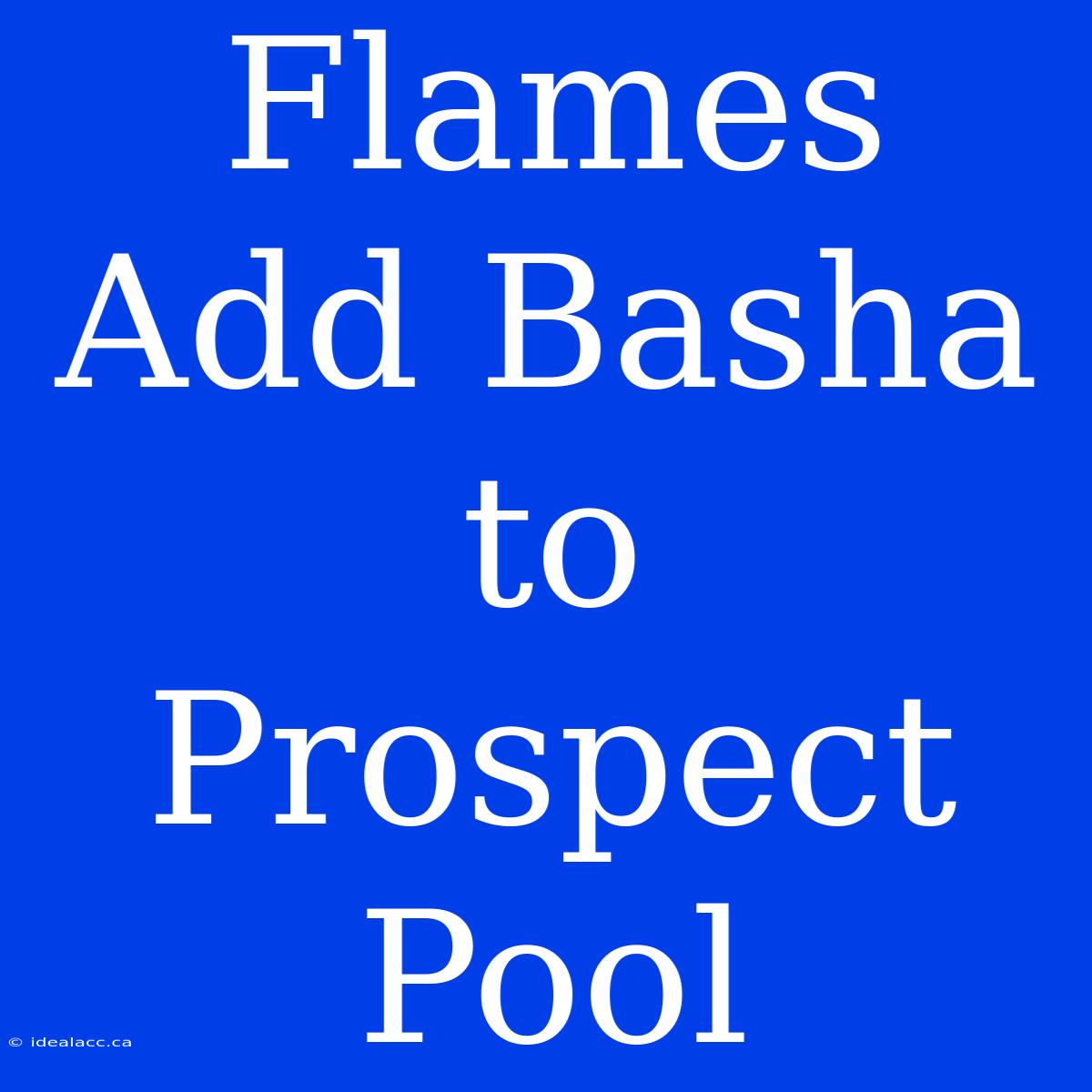 Flames Add Basha To Prospect Pool