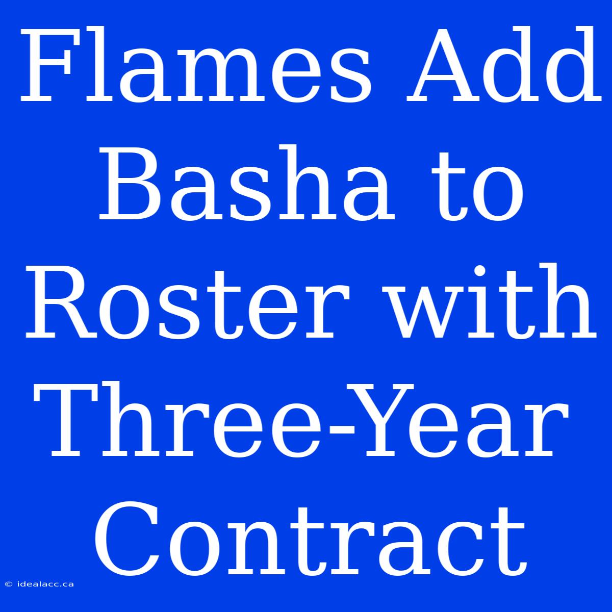 Flames Add Basha To Roster With Three-Year Contract