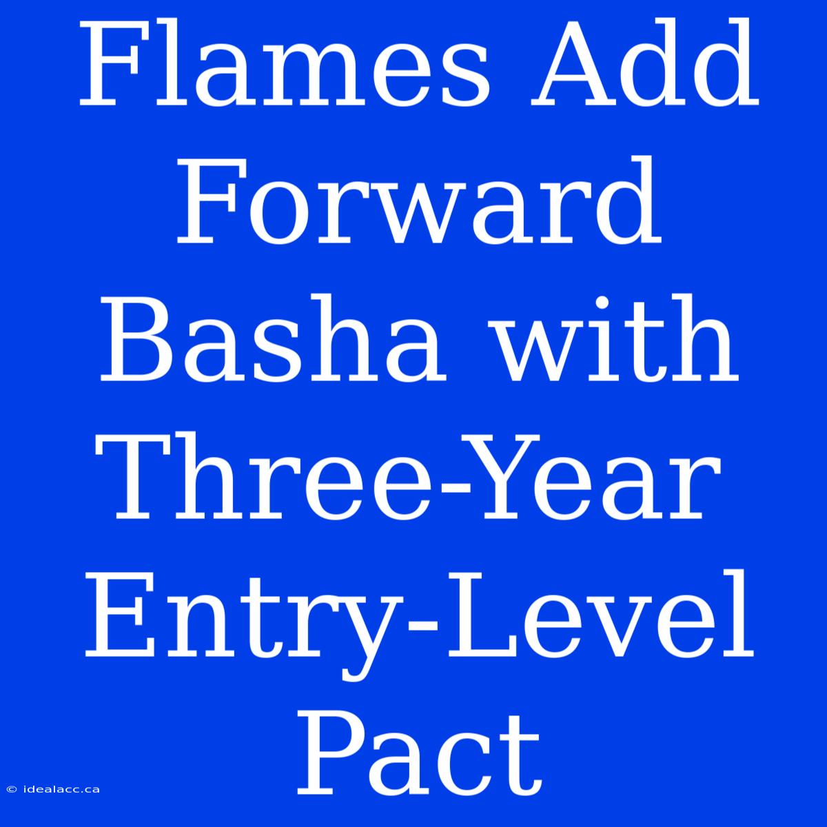 Flames Add Forward Basha With Three-Year Entry-Level Pact