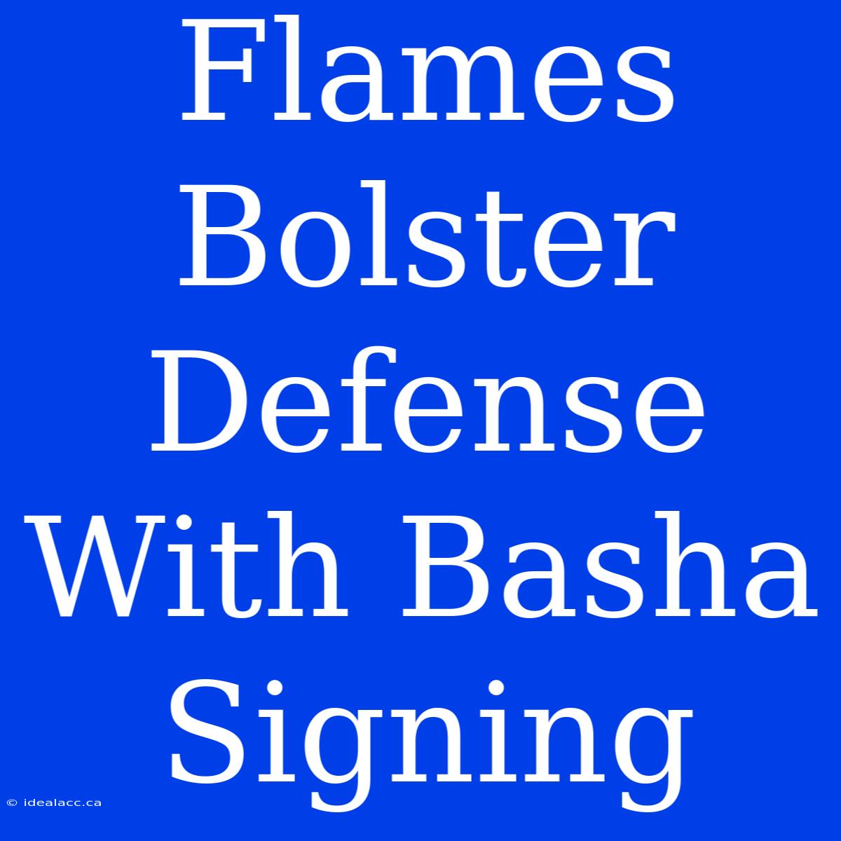 Flames Bolster Defense With Basha Signing