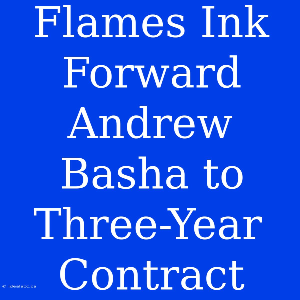 Flames Ink Forward Andrew Basha To Three-Year Contract