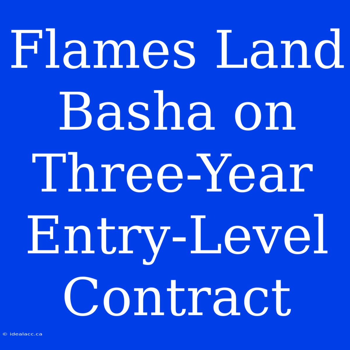 Flames Land Basha On Three-Year Entry-Level Contract 