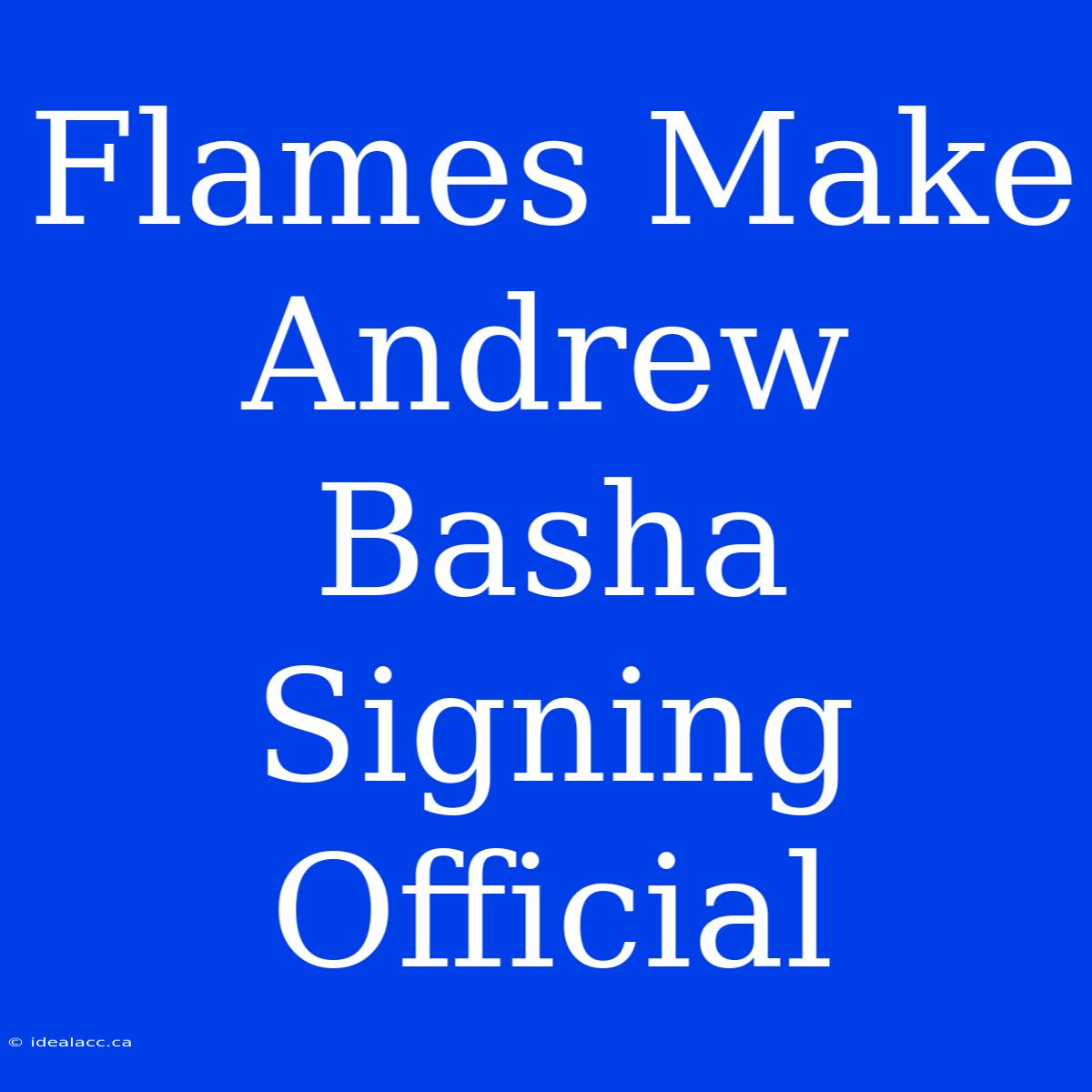 Flames Make Andrew Basha Signing Official