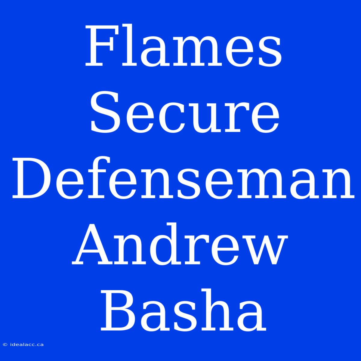 Flames Secure Defenseman Andrew Basha