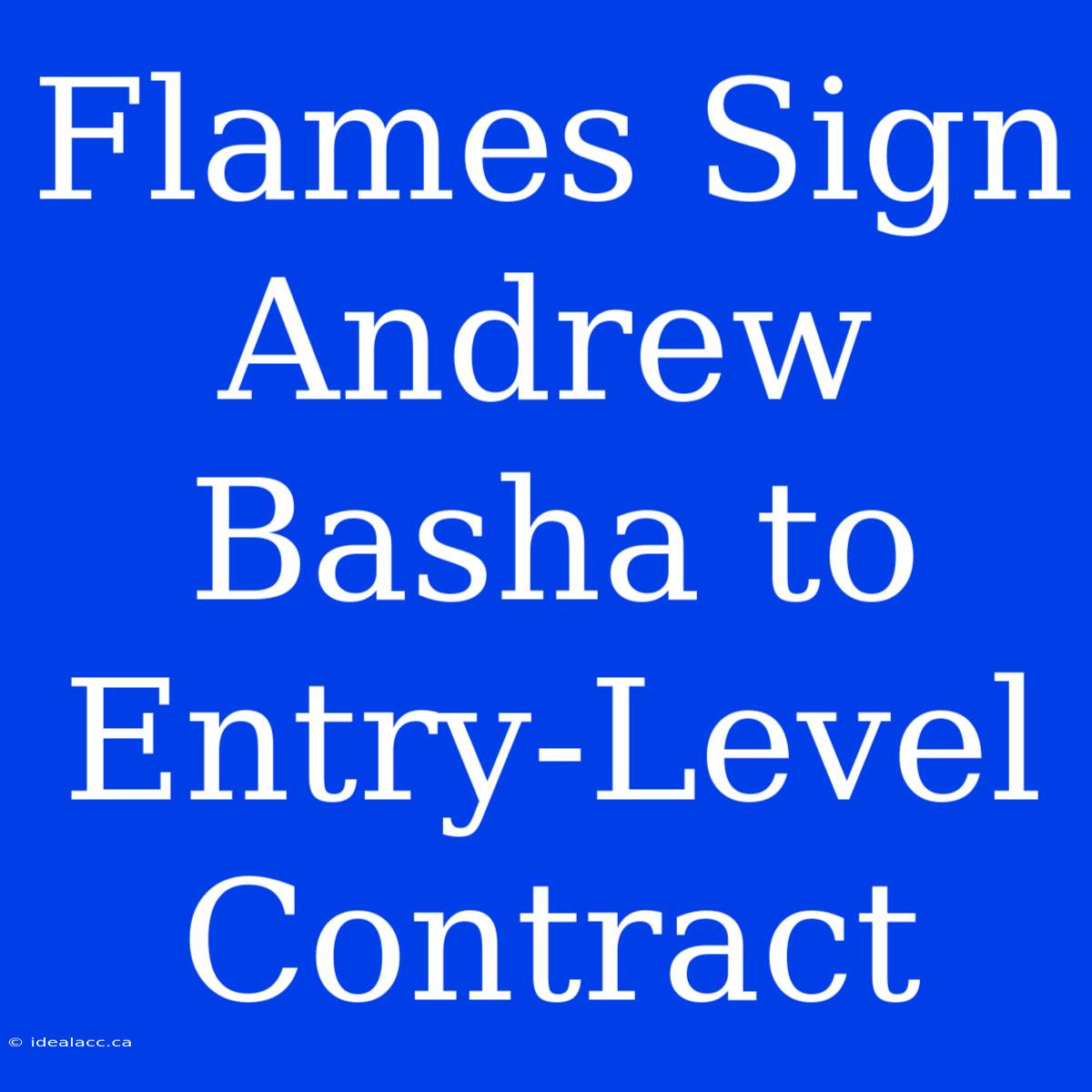 Flames Sign Andrew Basha To Entry-Level Contract