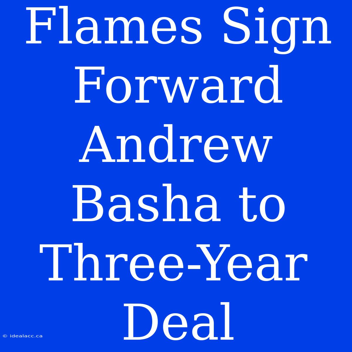 Flames Sign Forward Andrew Basha To Three-Year Deal