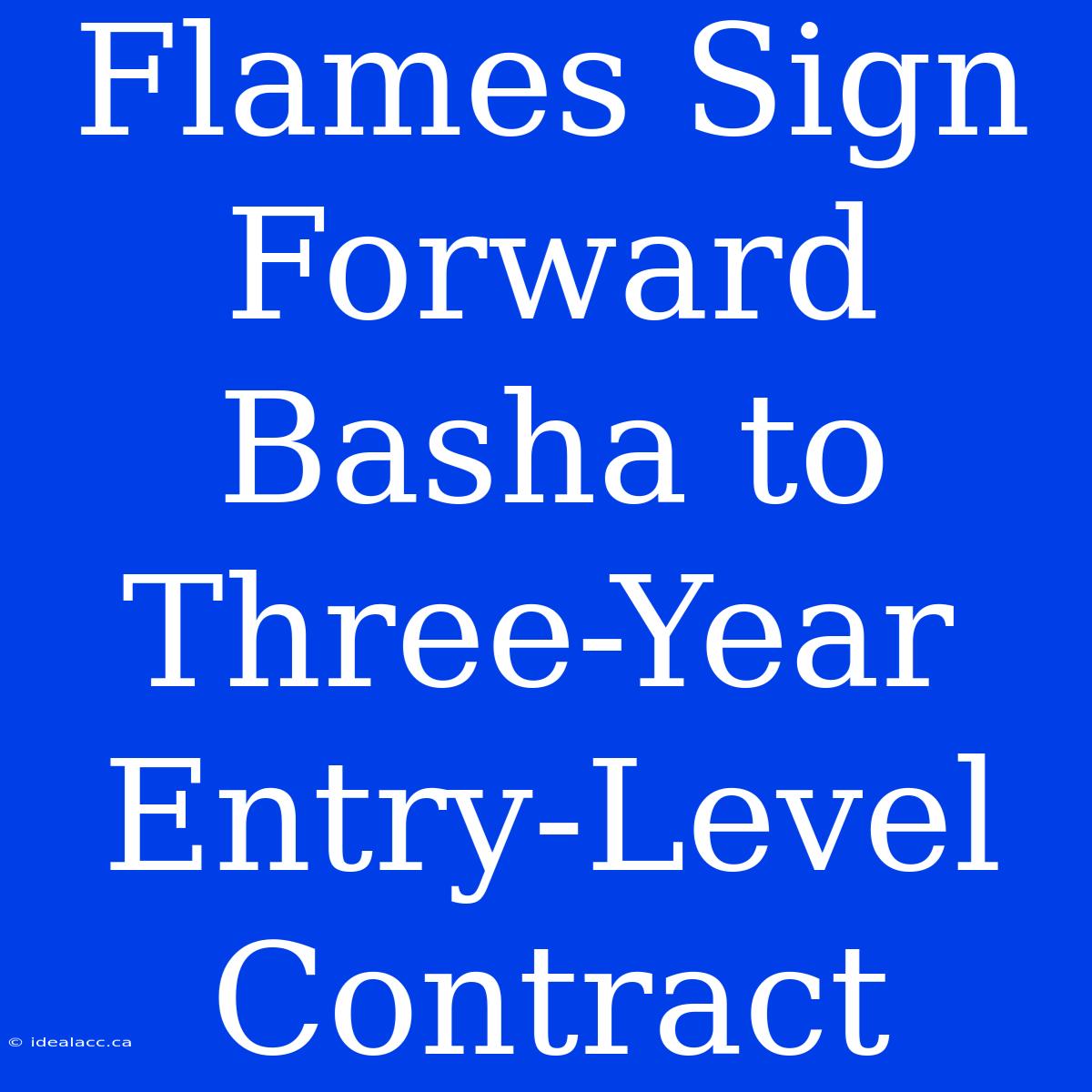 Flames Sign Forward Basha To Three-Year Entry-Level Contract