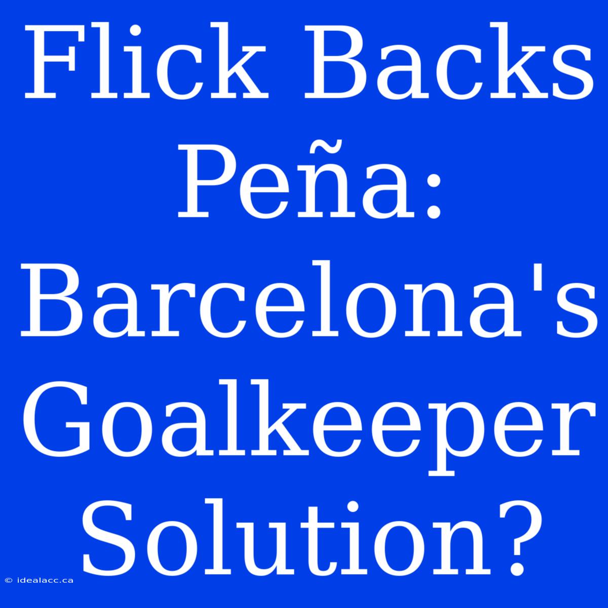 Flick Backs Peña: Barcelona's Goalkeeper Solution?