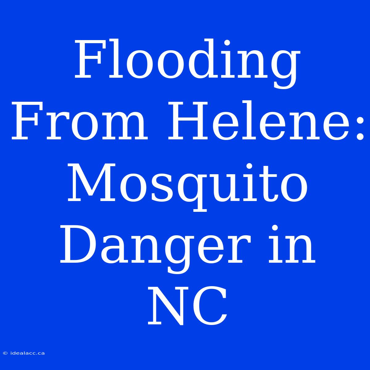 Flooding From Helene: Mosquito Danger In NC