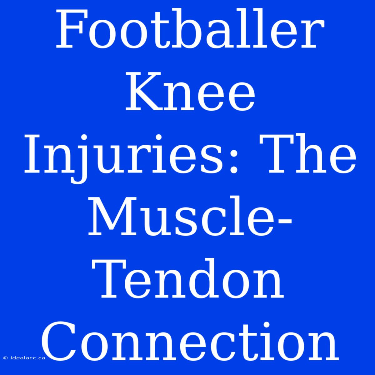 Footballer Knee Injuries: The Muscle-Tendon Connection