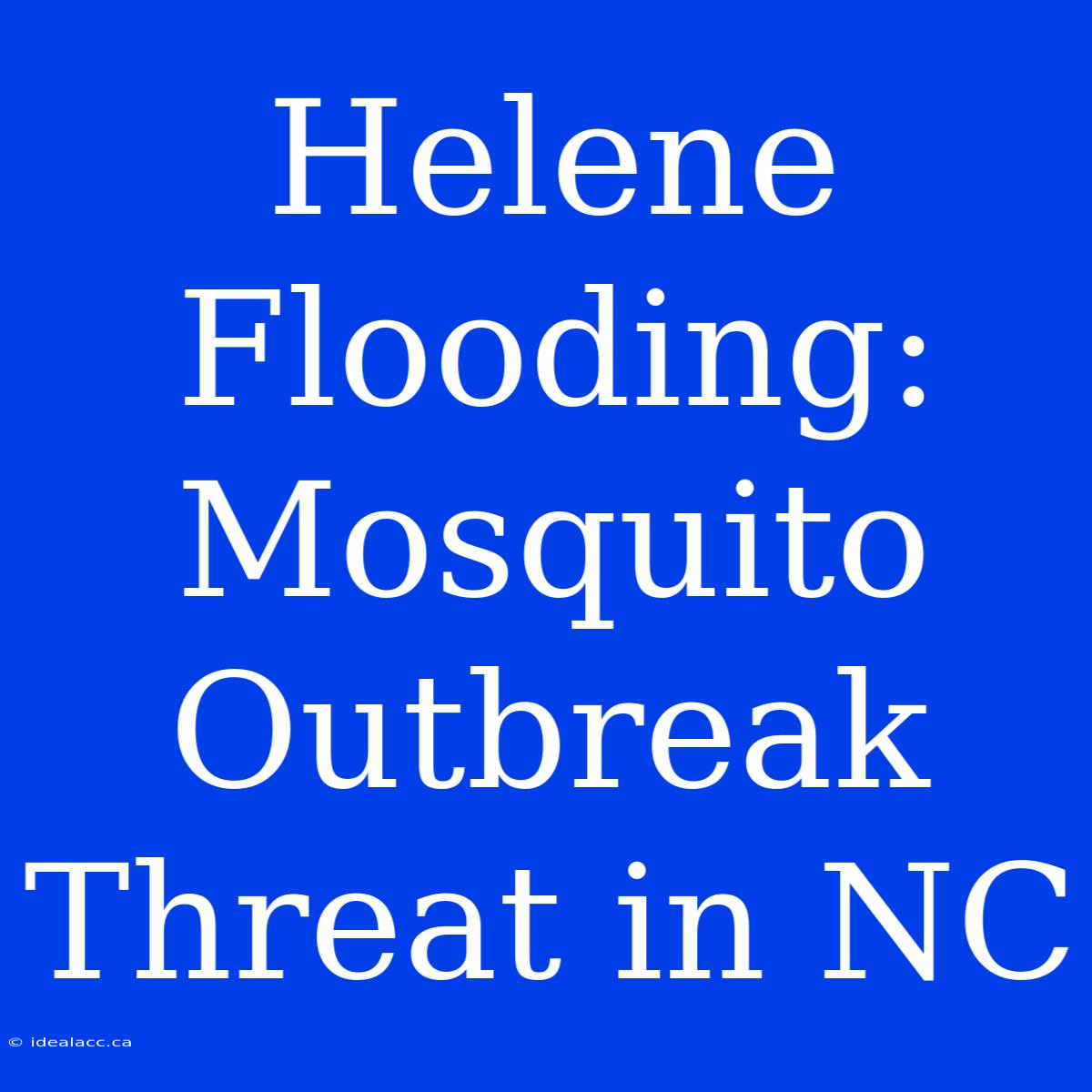 Helene Flooding: Mosquito Outbreak Threat In NC