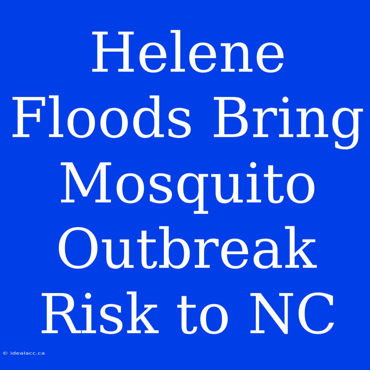 Helene Floods Bring Mosquito Outbreak Risk To NC 