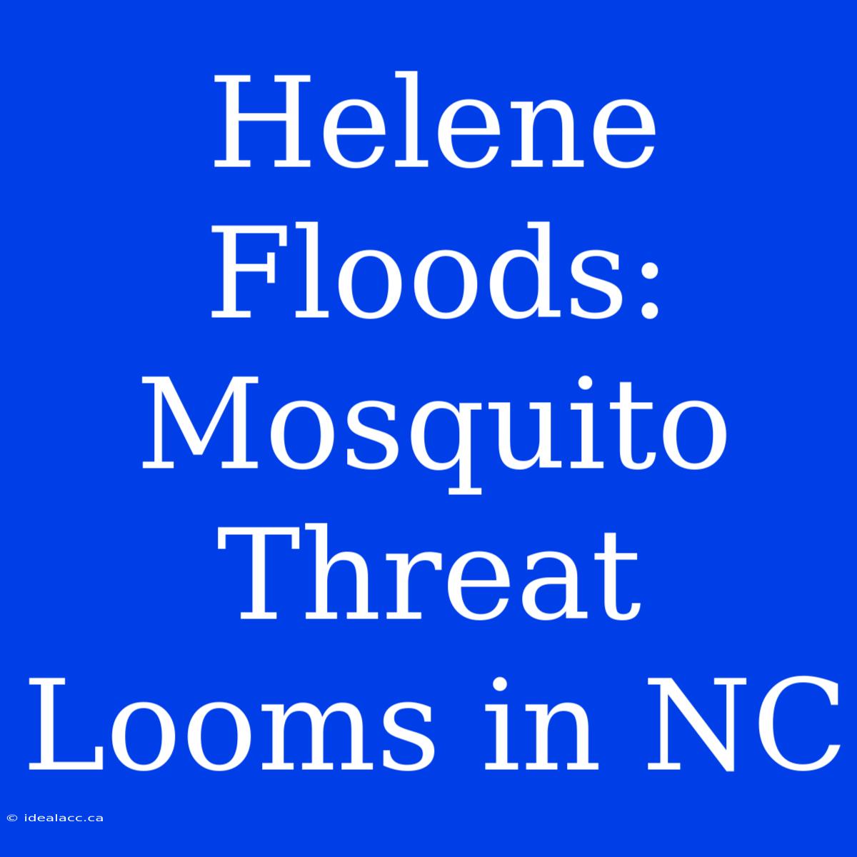 Helene Floods: Mosquito Threat Looms In NC